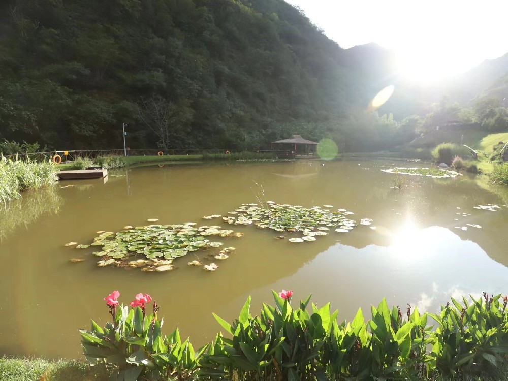 九公山长城纪念林是一处备受赞誉的陵园，九公山长城纪念林怎么样？